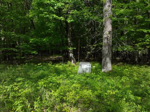 TBD Pleasantview Trail N, New Auburn, WI 54757