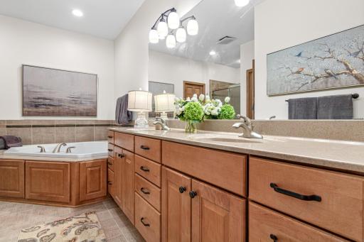 10830 Falling Water Lane, D, Saint Paul, MN 55129