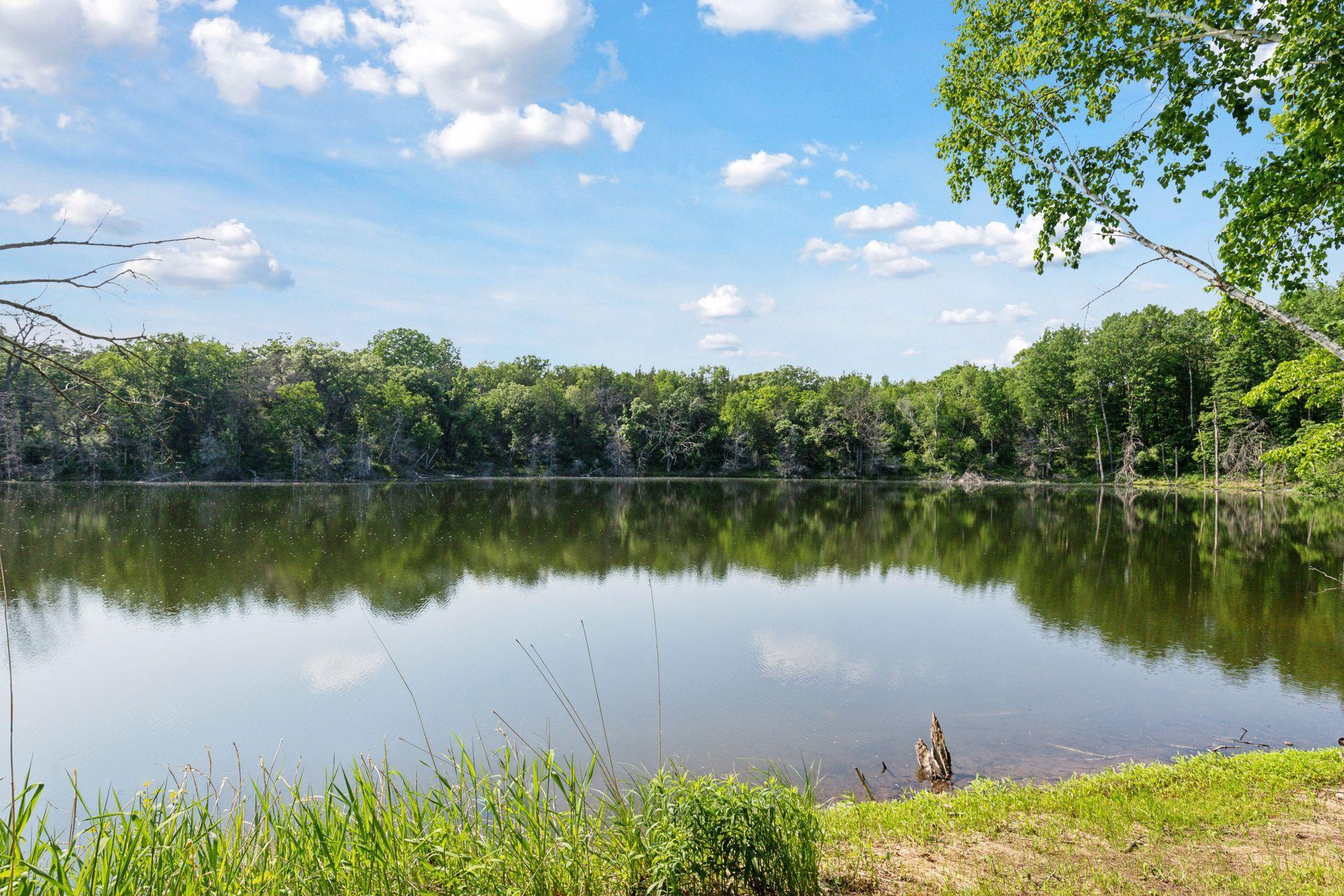 Crystal-clear view across the private pond—your own nature preserve with quiet waters, tree-lined shores, and absolute privacy.