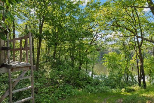 View from treehouse looking toward the waterâlush greenery and filtered lake views set the stage for a nature-loverâs dream.