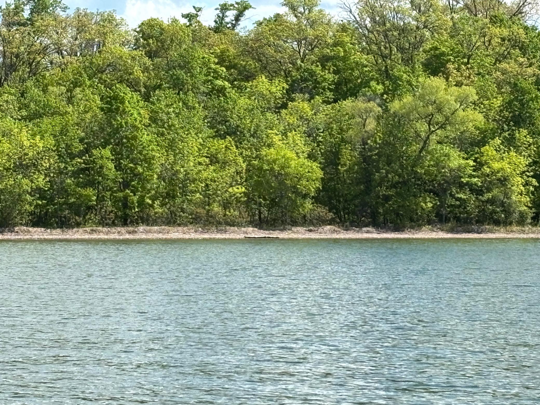 Middle of West Side