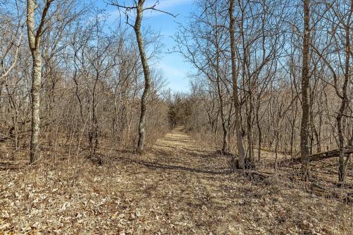 18067 233rd Avenue NW, Big Lake, MN 55309