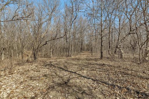 18067 233rd Avenue NW, Big Lake, MN 55309