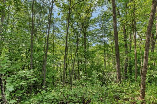 6531 Fieldstone Drive, Randall, MN 56475