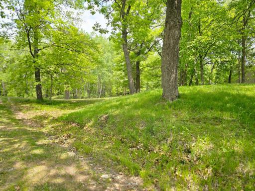 24429 Camp Lake Road, Brainerd, MN 56401