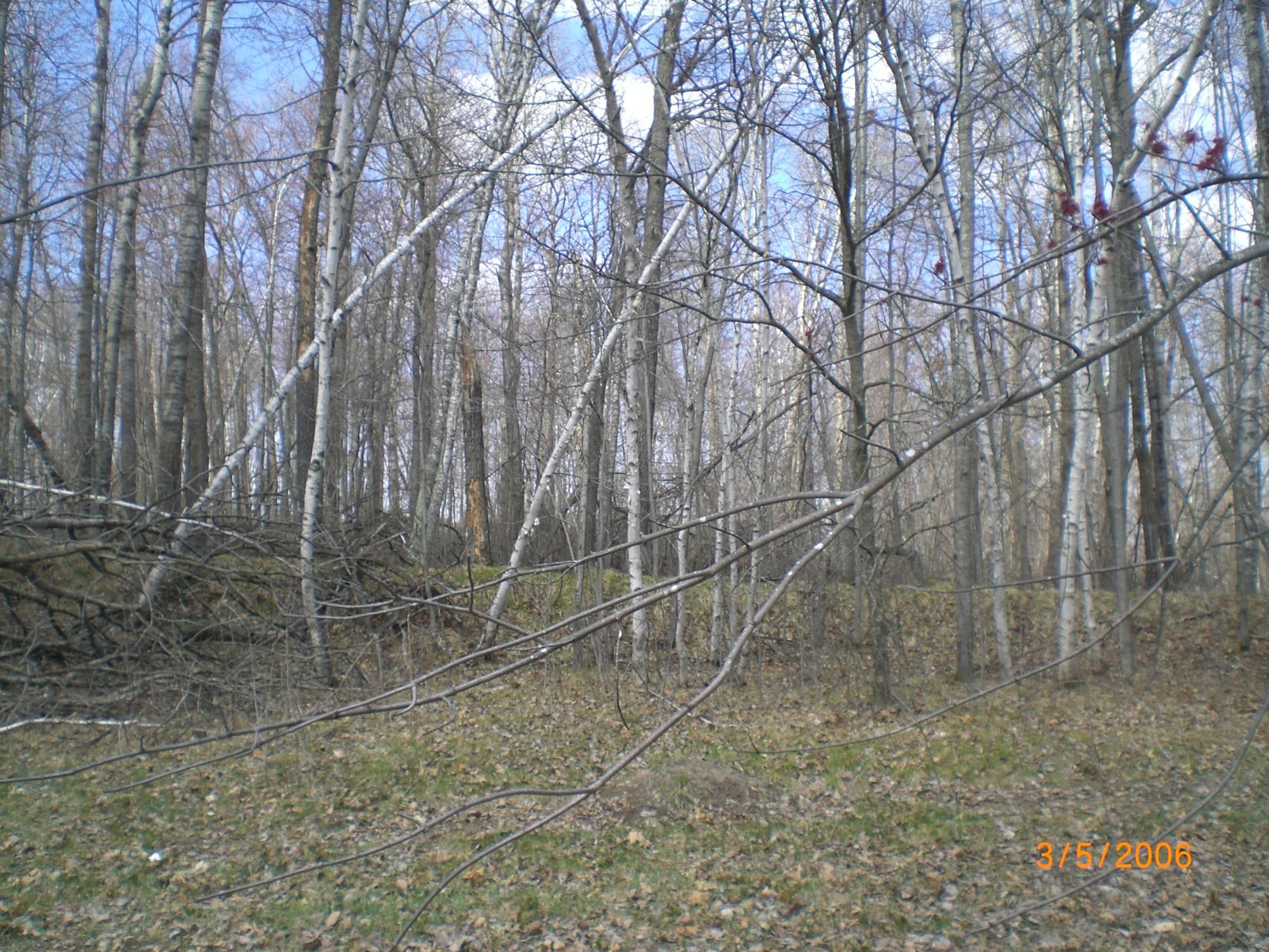 CIMG0010.JPG