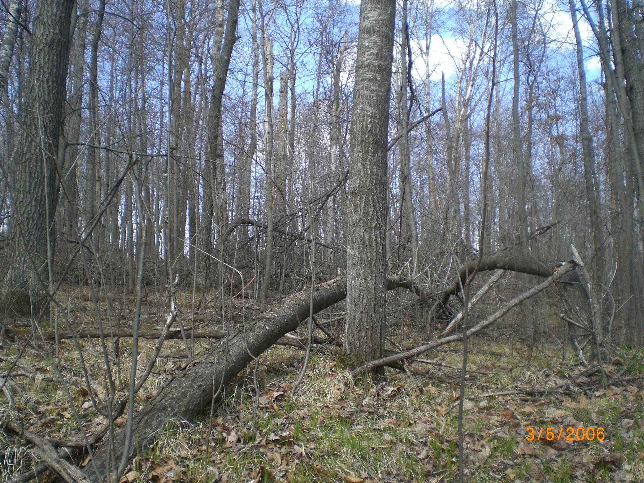 CIMG0012.JPG
