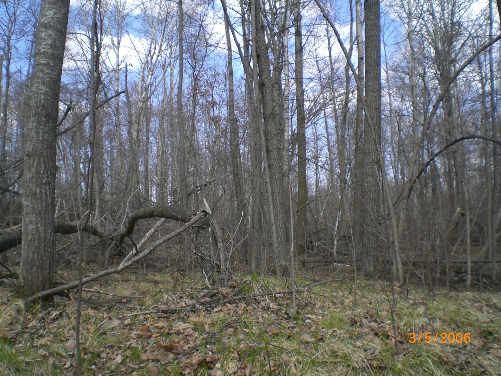 CIMG0013.JPG