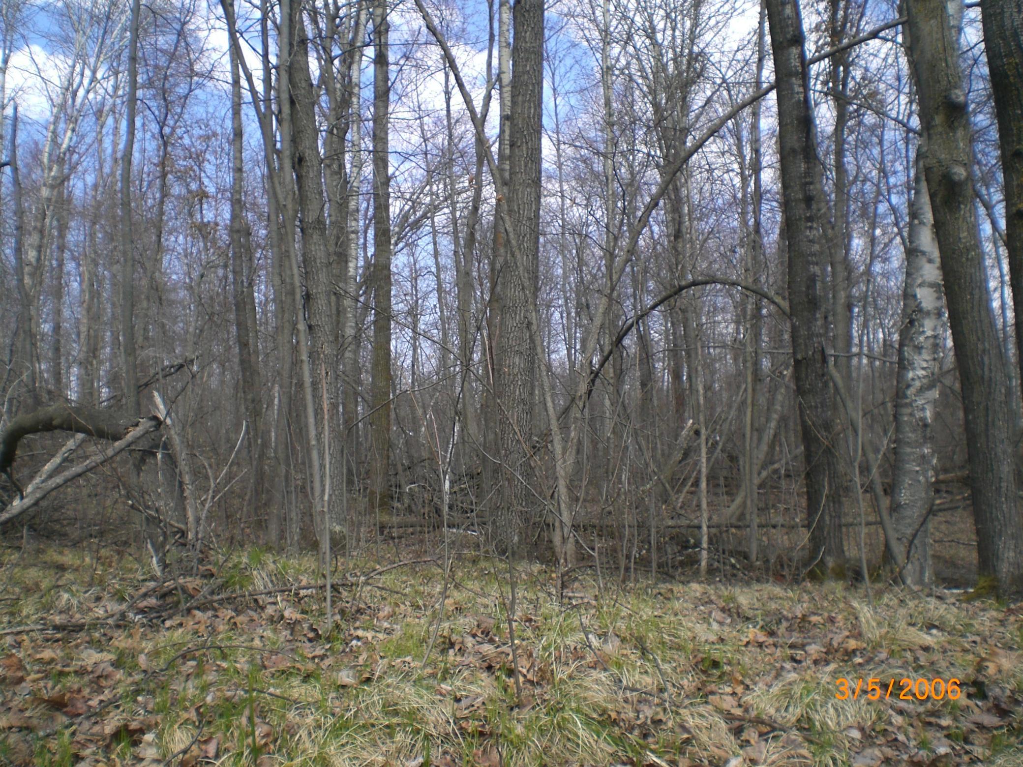 CIMG0014.JPG