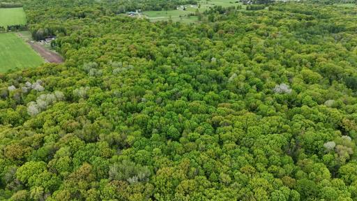 TBD 210TH AVE, Ogilvie, MN 56358