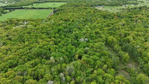 TBD 210TH AVE, Ogilvie, MN 56358