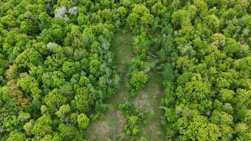 TBD 210TH AVE, Ogilvie, MN 56358