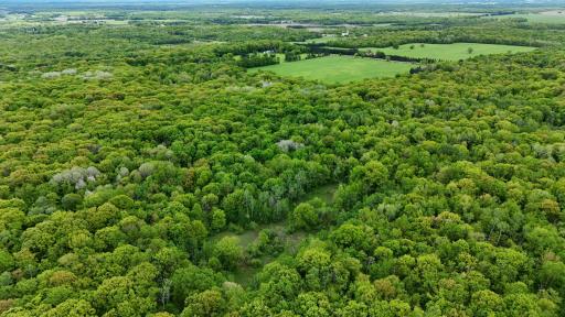 TBD 210TH AVE, Ogilvie, MN 56358