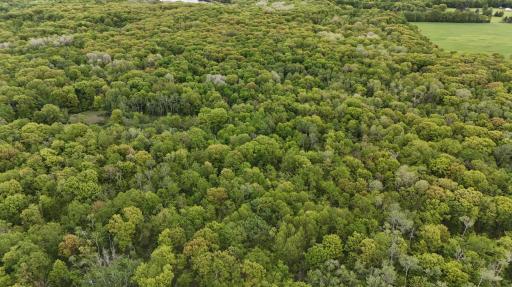 TBD 210TH AVE, Ogilvie, MN 56358