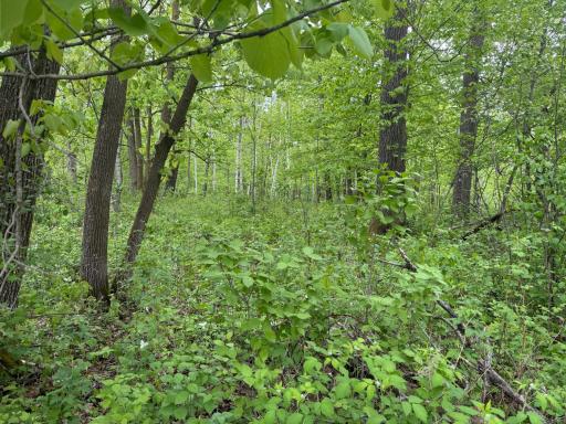 TBD 210TH AVE, Ogilvie, MN 56358
