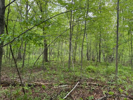 TBD 210TH AVE, Ogilvie, MN 56358