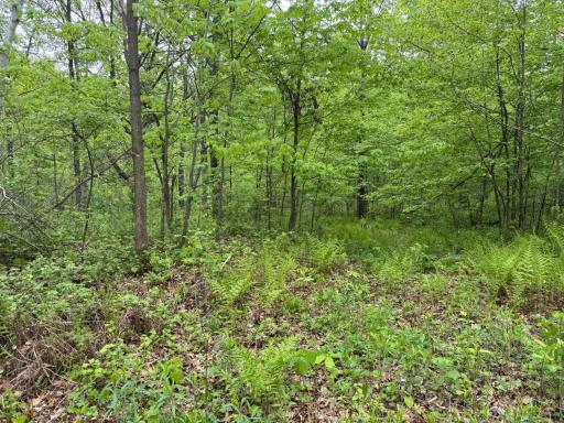 TBD 210TH AVE, Ogilvie, MN 56358