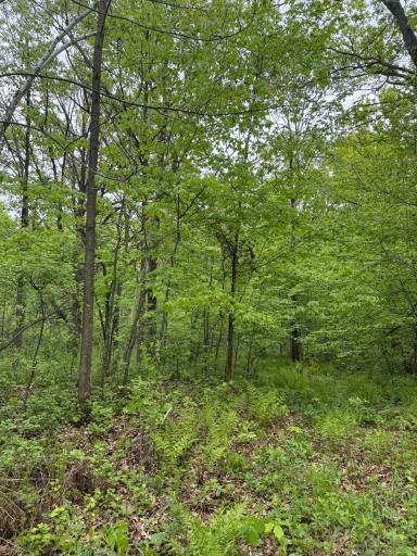 TBD 210TH AVE, Ogilvie, MN 56358
