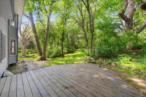 Lots of wildlife to enjoy from your deck.