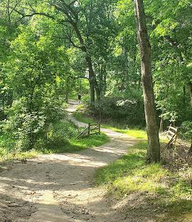 Lebanon Hills Regional Park is in walking distance.