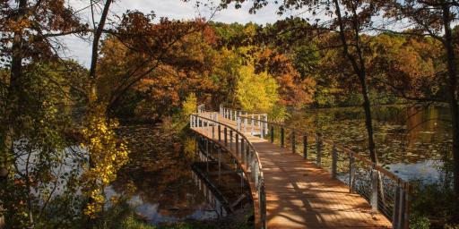 Bridge Pond at Lebanon Hills Regional Park.
