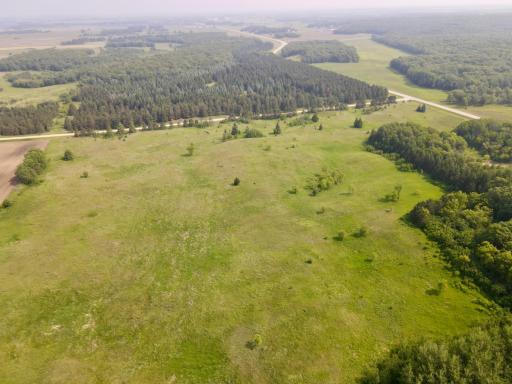 dji_fly_20250610_102138_917_1749569499735_photo.JPEG