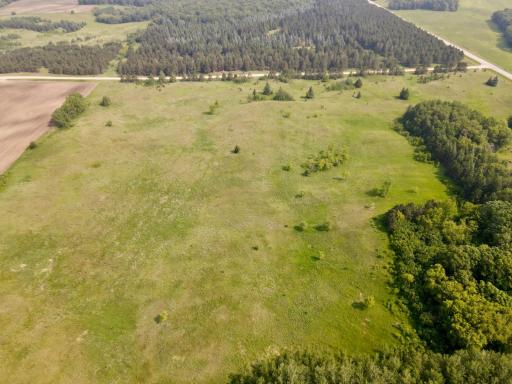 dji_fly_20250610_102258_919_1749569476150_photo.JPEG