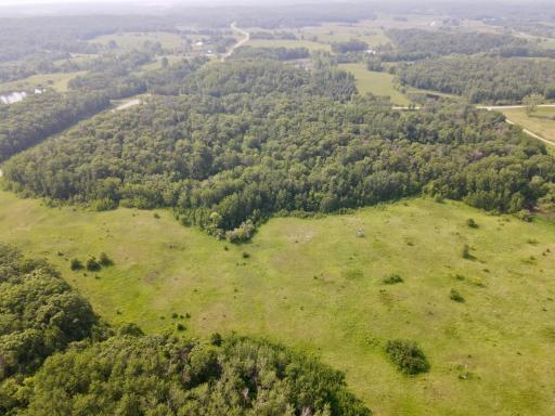 dji_fly_20250610_102220_918_1749569495332_photo (1).JPEG