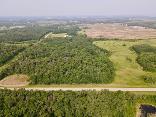 dji_fly_20250610_101954_916_1749568805922_photo (1).JPEG