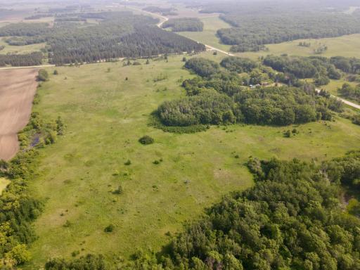 dji_fly_20250610_102548_923_1749569391967_photo.jpeg