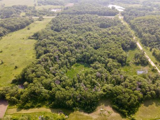 dji_fly_20250610_102626_924_1749569305672_photo.jpeg