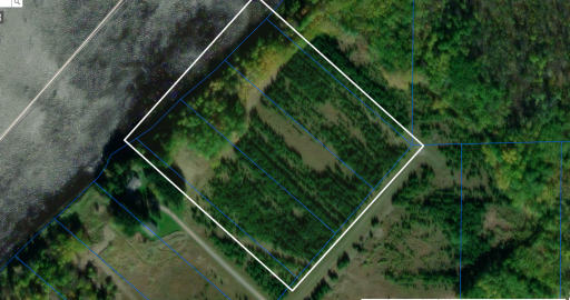 TBD Town Rd. 389, Baudette, MN 56623