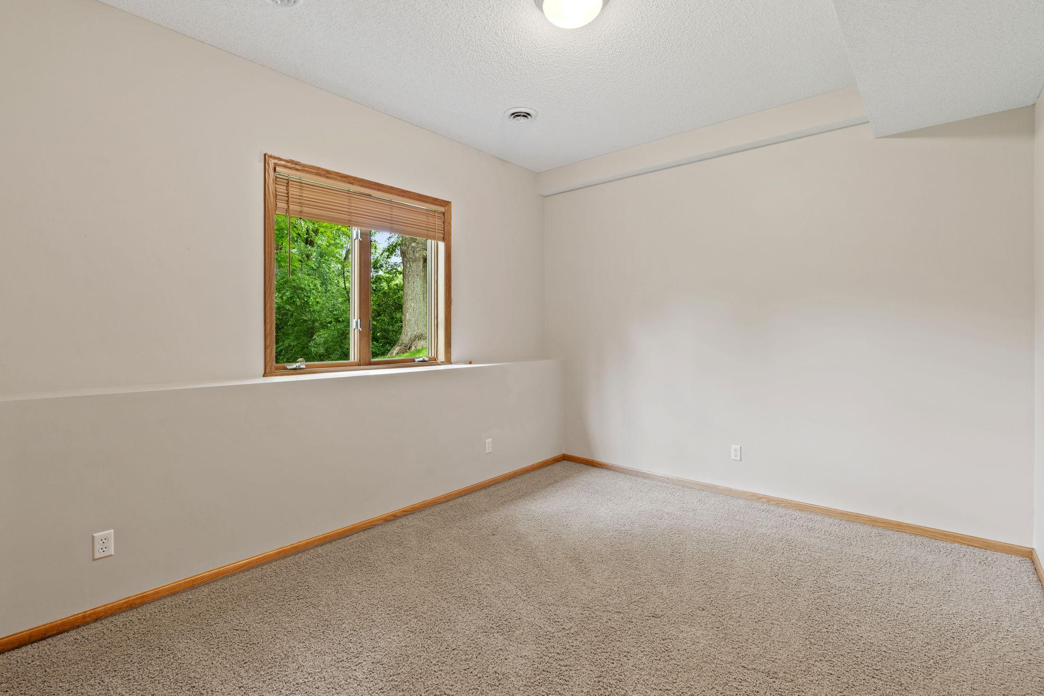 Basement Bedroom