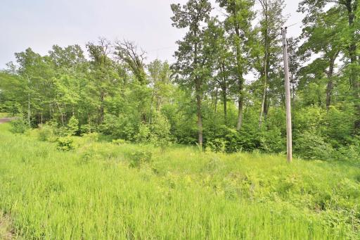 TBD Cypress Lane, Garrison, MN 56450