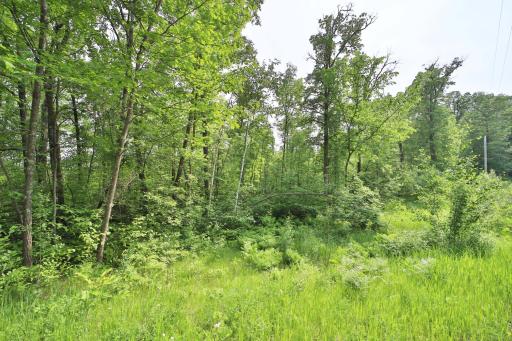 TBD Cypress Lane, Garrison, MN 56450