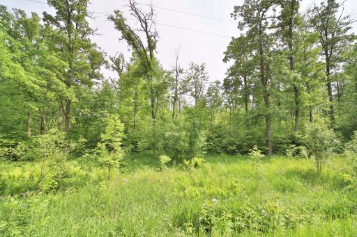 TBD Cypress Lane, Garrison, MN 56450