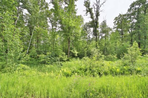 TBD Cypress Lane, Garrison, MN 56450