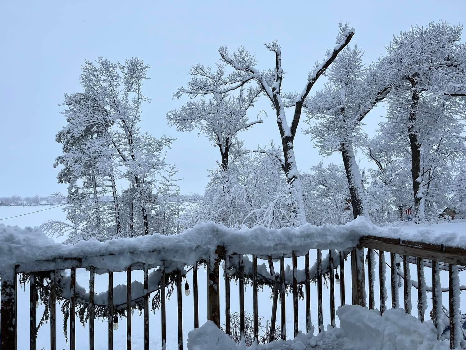 Winter Pic