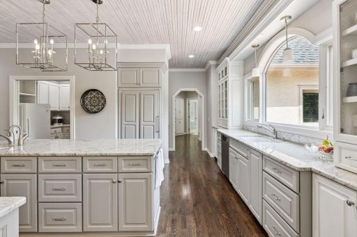 Walk-In Pantry with Cabinetry and Counter Space