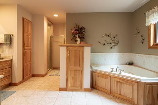 Walk-in Shower and Soaking Tub