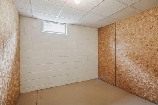 Storage room with a closet under the staircase (door on the right)