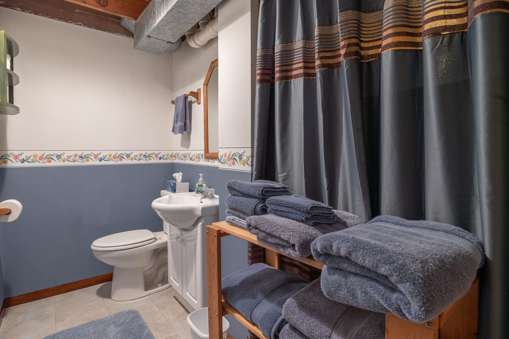 Lower level bathroom.