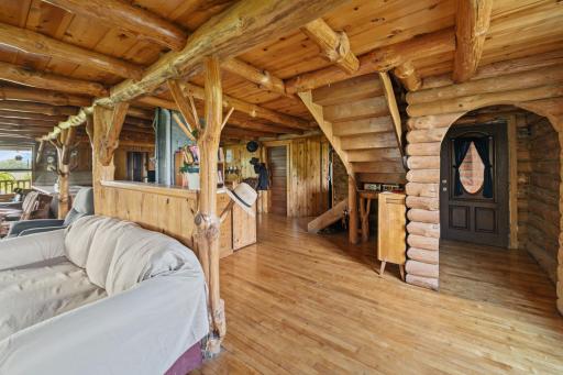 Guest entry and play area for the younger humans.