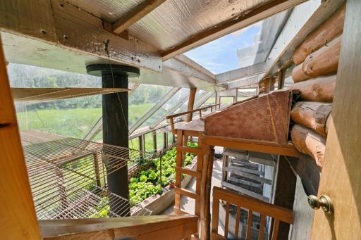 Back to the sunroom. This stairwell leads from the sunroom town to the attached greenhouse.
