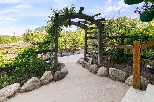 Gateway to the orchard--filled with fruits. Varieties include: mulberries, juneberry, apples, plums, cherries, elderberries, grapes, gooseberries, currants, rhubarb, blueberries and a number of other fruits are well established and producing.