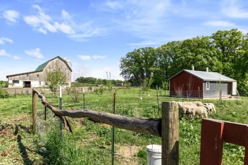 Domestic bird coup, barn and part of pasture. A few trees as well.