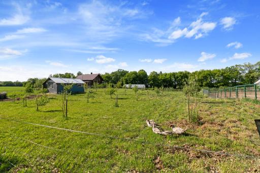 View of center of property including house, bird coup, greenhouse, pasture and fruit orchard.