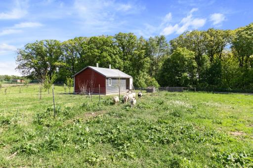 Coup for the chickens, ducks and geese. (16' x 24')