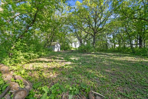 Old pump house near the cabin in the woods.