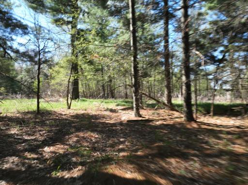TBD County Road 14, Browerville, MN 56438